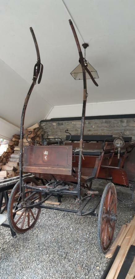 Casa Martin Villa Porumbacu de Sus Dış mekan fotoğraf